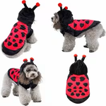 Ladybug Dog Costume with Hood & Antennae