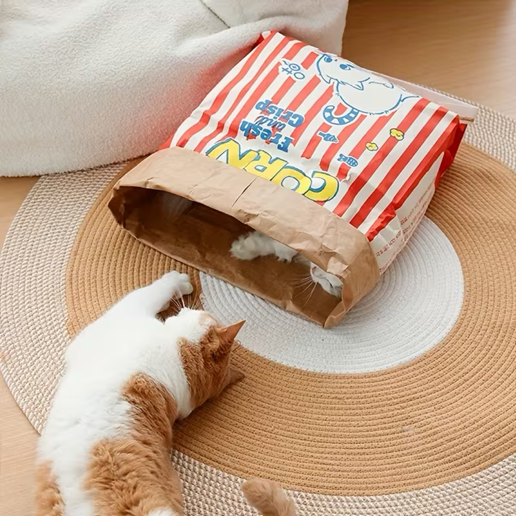 Popcorn Crinkle Play Bag for Cats & Dogs