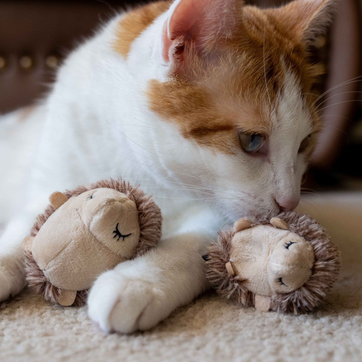 Feline Frenzy P.L.A.Y. Cat Toy - Mama & Chip Catnip Collection for Ultimate Feline Fun