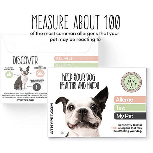 Allergy Test My Pet – Dog Allergy Testing Kit