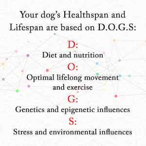 The Forever Dog – By Rodney Habib & Dr. Karen Becker