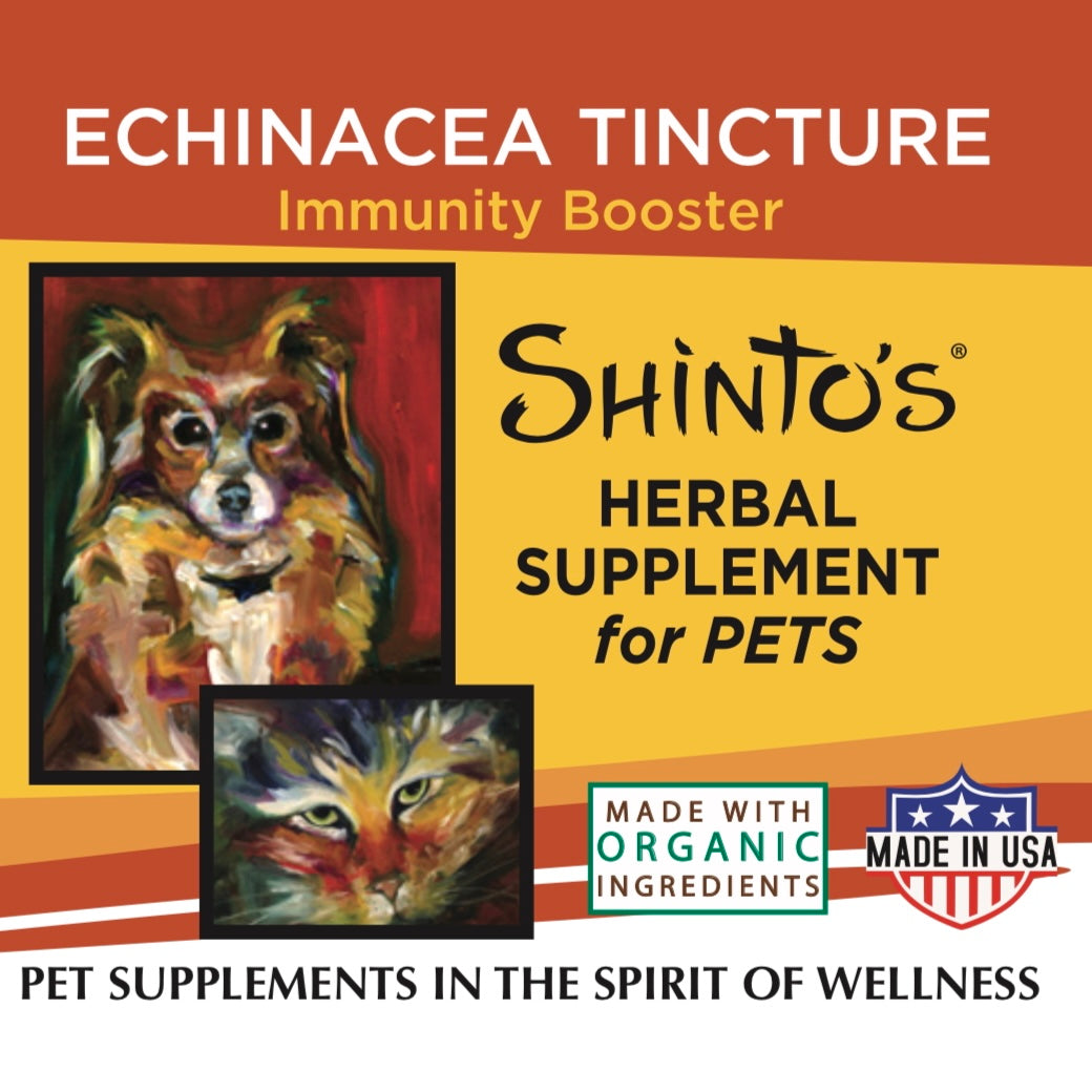 Echinacea Tincture - 1 oz - Immune Support & Wellness Boost