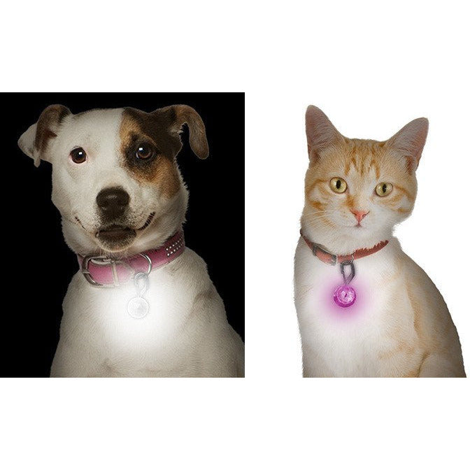 Nite Ize PetLit LED Collar Light – Safety Night Light for Pets